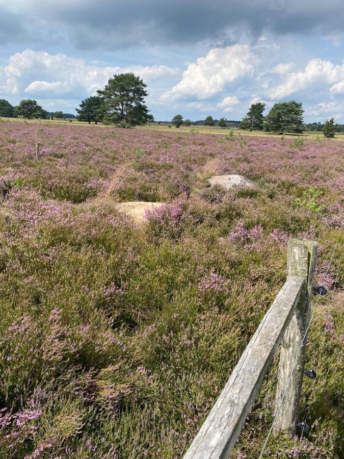 Holiday In Der Lueneburger Heide บิสพิงเงน ภายนอก รูปภาพ